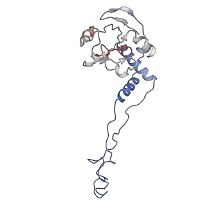 3624_5nd8_F_v1-6
Hibernating ribosome from Staphylococcus aureus (Unrotated state)