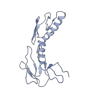 3624_5nd8_H_v1-6
Hibernating ribosome from Staphylococcus aureus (Unrotated state)