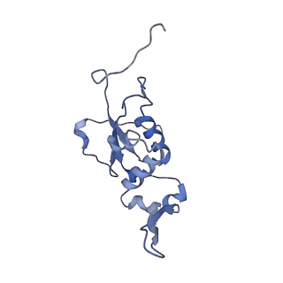 3624_5nd8_M_v1-6
Hibernating ribosome from Staphylococcus aureus (Unrotated state)