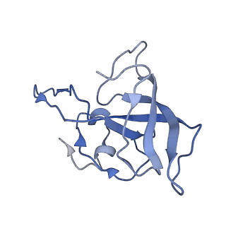 3624_5nd8_N_v1-6
Hibernating ribosome from Staphylococcus aureus (Unrotated state)
