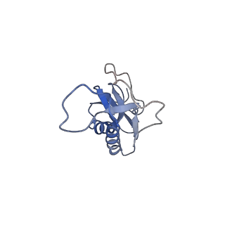 3624_5nd8_P_v1-6
Hibernating ribosome from Staphylococcus aureus (Unrotated state)