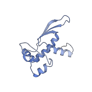 3624_5nd8_Q_v1-6
Hibernating ribosome from Staphylococcus aureus (Unrotated state)