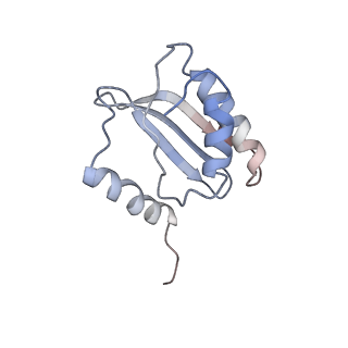 3624_5nd8_R_v1-6
Hibernating ribosome from Staphylococcus aureus (Unrotated state)