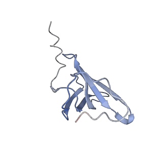 3624_5nd8_S_v1-6
Hibernating ribosome from Staphylococcus aureus (Unrotated state)