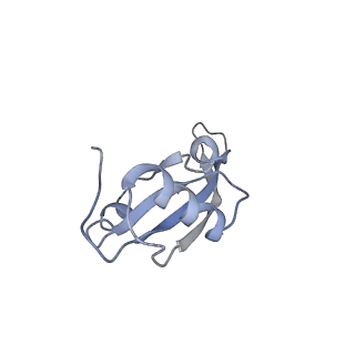 3624_5nd8_W_v1-6
Hibernating ribosome from Staphylococcus aureus (Unrotated state)