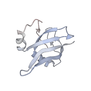 3624_5nd8_Y_v1-6
Hibernating ribosome from Staphylococcus aureus (Unrotated state)