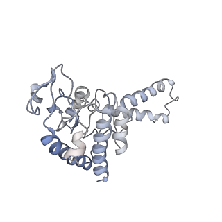 3624_5nd8_b_v1-6
Hibernating ribosome from Staphylococcus aureus (Unrotated state)