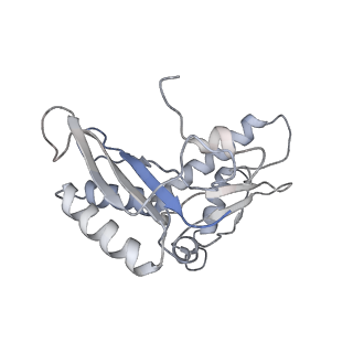 3624_5nd8_c_v1-6
Hibernating ribosome from Staphylococcus aureus (Unrotated state)
