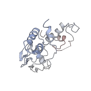 3624_5nd8_d_v1-6
Hibernating ribosome from Staphylococcus aureus (Unrotated state)