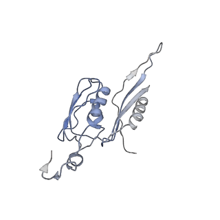3624_5nd8_e_v1-6
Hibernating ribosome from Staphylococcus aureus (Unrotated state)