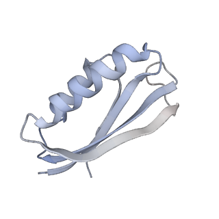 3624_5nd8_f_v1-6
Hibernating ribosome from Staphylococcus aureus (Unrotated state)