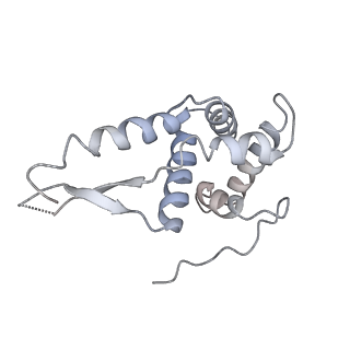 3624_5nd8_g_v1-6
Hibernating ribosome from Staphylococcus aureus (Unrotated state)