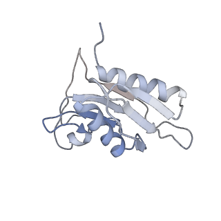 3624_5nd8_h_v1-6
Hibernating ribosome from Staphylococcus aureus (Unrotated state)