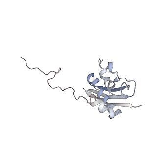 3624_5nd8_i_v1-6
Hibernating ribosome from Staphylococcus aureus (Unrotated state)