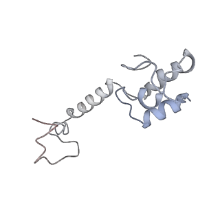 3624_5nd8_m_v1-6
Hibernating ribosome from Staphylococcus aureus (Unrotated state)