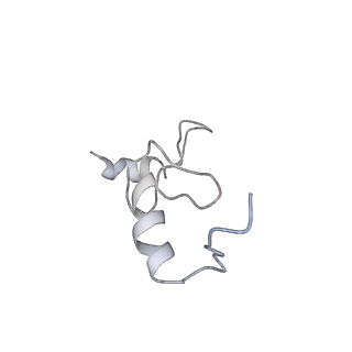 3624_5nd8_n_v1-6
Hibernating ribosome from Staphylococcus aureus (Unrotated state)