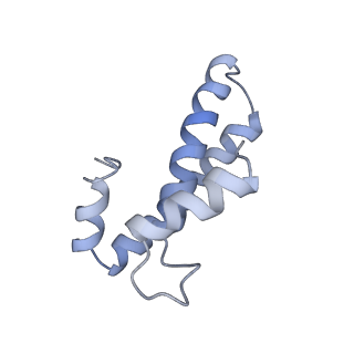 3624_5nd8_o_v1-6
Hibernating ribosome from Staphylococcus aureus (Unrotated state)