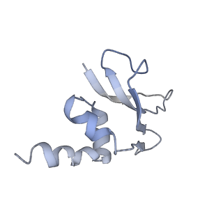 3624_5nd8_p_v1-6
Hibernating ribosome from Staphylococcus aureus (Unrotated state)