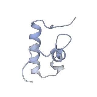 3624_5nd8_r_v1-6
Hibernating ribosome from Staphylococcus aureus (Unrotated state)