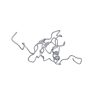 3624_5nd8_s_v1-6
Hibernating ribosome from Staphylococcus aureus (Unrotated state)