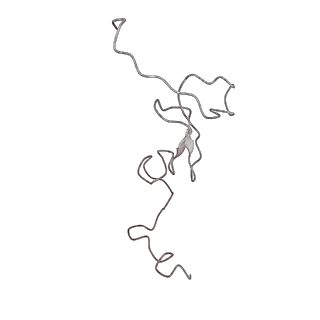 3625_5nd9_3_v1-6
Hibernating ribosome from Staphylococcus aureus (Rotated state)