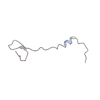 3625_5nd9_4_v1-6
Hibernating ribosome from Staphylococcus aureus (Rotated state)