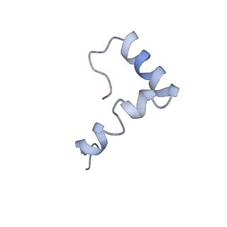 3625_5nd9_6_v1-6
Hibernating ribosome from Staphylococcus aureus (Rotated state)