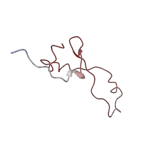 3625_5nd9_7_v1-6
Hibernating ribosome from Staphylococcus aureus (Rotated state)