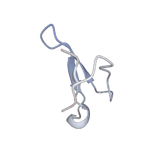 3625_5nd9_8_v1-6
Hibernating ribosome from Staphylococcus aureus (Rotated state)