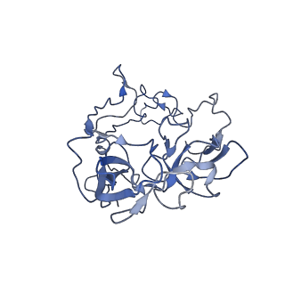 3625_5nd9_D_v1-6
Hibernating ribosome from Staphylococcus aureus (Rotated state)