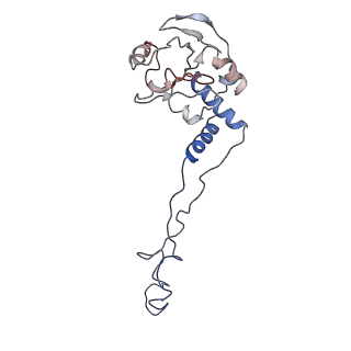 3625_5nd9_F_v1-6
Hibernating ribosome from Staphylococcus aureus (Rotated state)