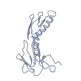 3625_5nd9_H_v1-6
Hibernating ribosome from Staphylococcus aureus (Rotated state)