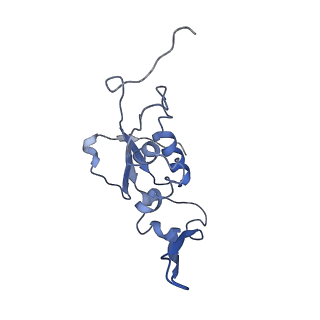 3625_5nd9_M_v1-6
Hibernating ribosome from Staphylococcus aureus (Rotated state)