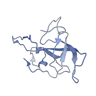 3625_5nd9_N_v1-6
Hibernating ribosome from Staphylococcus aureus (Rotated state)
