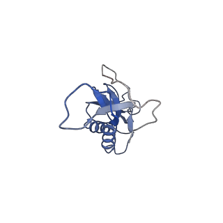 3625_5nd9_P_v1-6
Hibernating ribosome from Staphylococcus aureus (Rotated state)