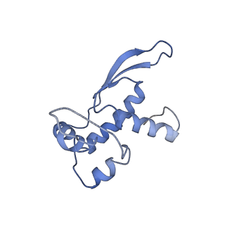 3625_5nd9_Q_v1-6
Hibernating ribosome from Staphylococcus aureus (Rotated state)