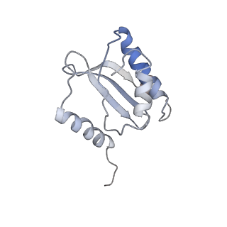 3625_5nd9_R_v1-6
Hibernating ribosome from Staphylococcus aureus (Rotated state)