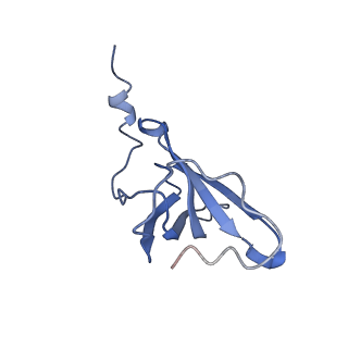 3625_5nd9_S_v1-6
Hibernating ribosome from Staphylococcus aureus (Rotated state)