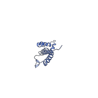3625_5nd9_T_v1-6
Hibernating ribosome from Staphylococcus aureus (Rotated state)