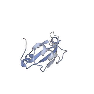 3625_5nd9_W_v1-6
Hibernating ribosome from Staphylococcus aureus (Rotated state)