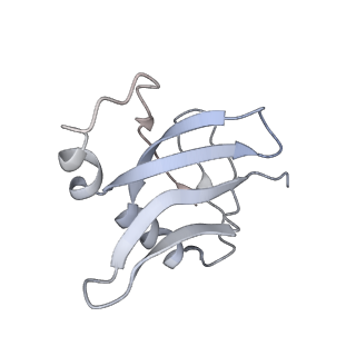 3625_5nd9_Y_v1-6
Hibernating ribosome from Staphylococcus aureus (Rotated state)