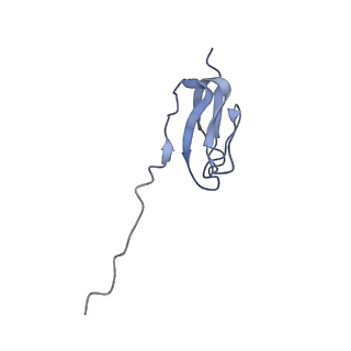 3625_5nd9_Z_v1-6
Hibernating ribosome from Staphylococcus aureus (Rotated state)