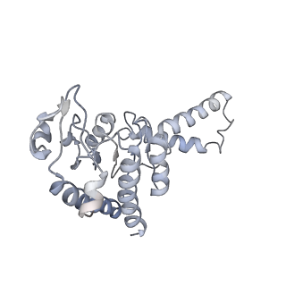 3625_5nd9_b_v1-6
Hibernating ribosome from Staphylococcus aureus (Rotated state)