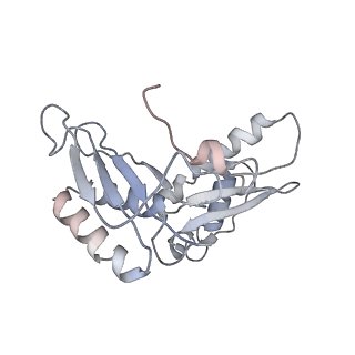 3625_5nd9_c_v1-6
Hibernating ribosome from Staphylococcus aureus (Rotated state)