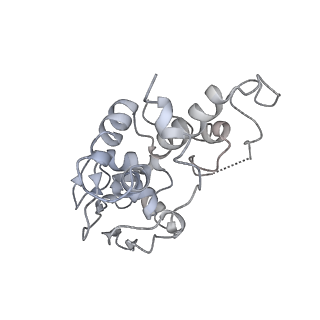 3625_5nd9_d_v1-6
Hibernating ribosome from Staphylococcus aureus (Rotated state)