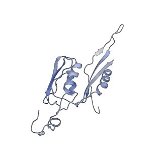 3625_5nd9_e_v1-6
Hibernating ribosome from Staphylococcus aureus (Rotated state)