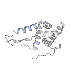 3625_5nd9_g_v1-6
Hibernating ribosome from Staphylococcus aureus (Rotated state)
