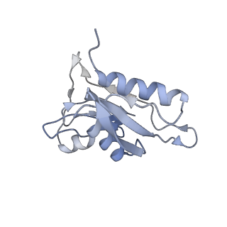 3625_5nd9_h_v1-6
Hibernating ribosome from Staphylococcus aureus (Rotated state)
