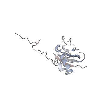 3625_5nd9_i_v1-6
Hibernating ribosome from Staphylococcus aureus (Rotated state)