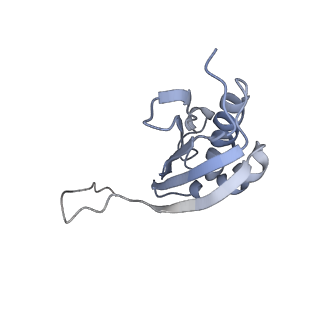 3625_5nd9_k_v1-6
Hibernating ribosome from Staphylococcus aureus (Rotated state)